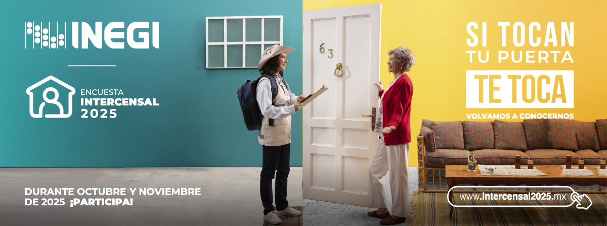 Encuestas INEGI 
