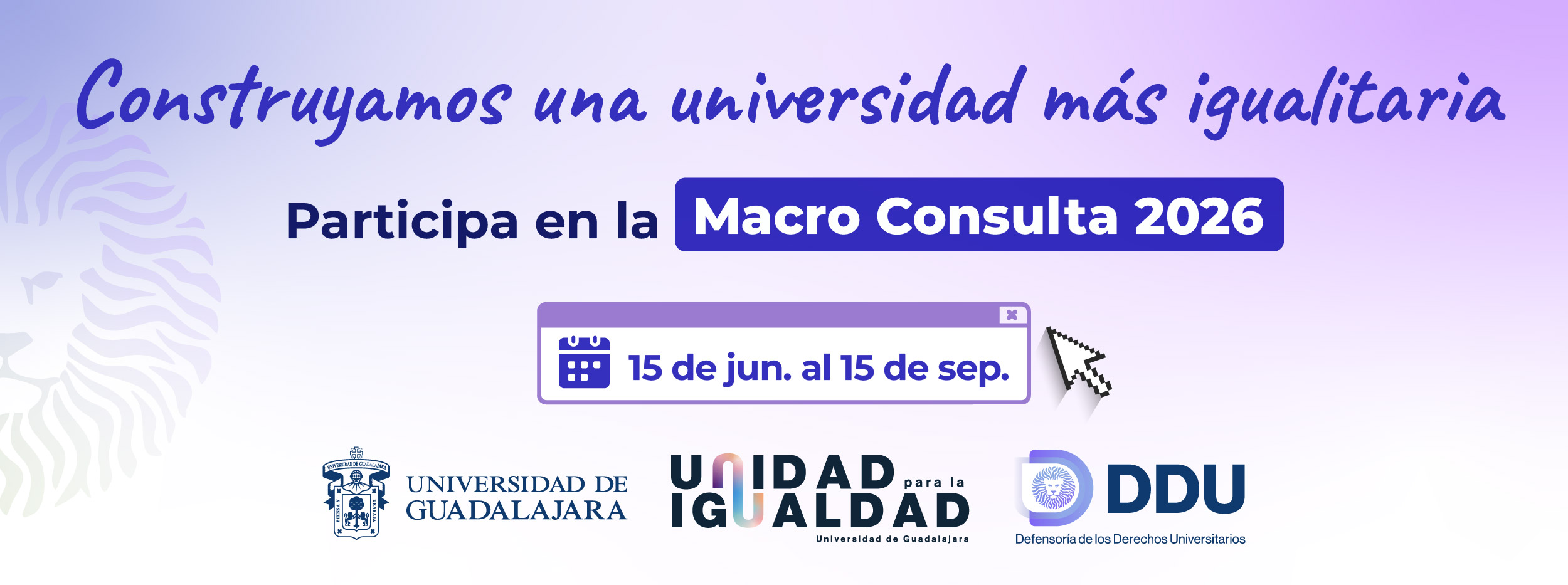 Macro Consulta 2026.
