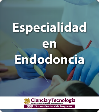 Endodoncia CUALTOS