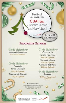 Festival Navideño