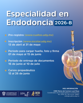 endo-2026b