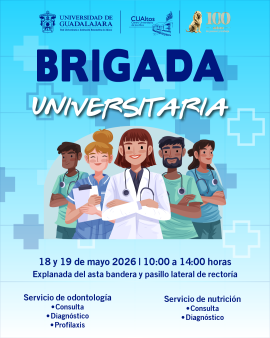 brigada_2026