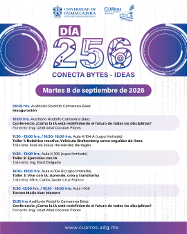 dia_256_cualtos_2026