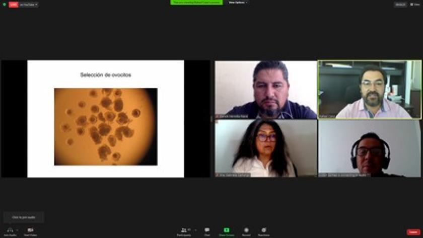 Captura de pantalla del Seminario del doctorado en Biociencias.
