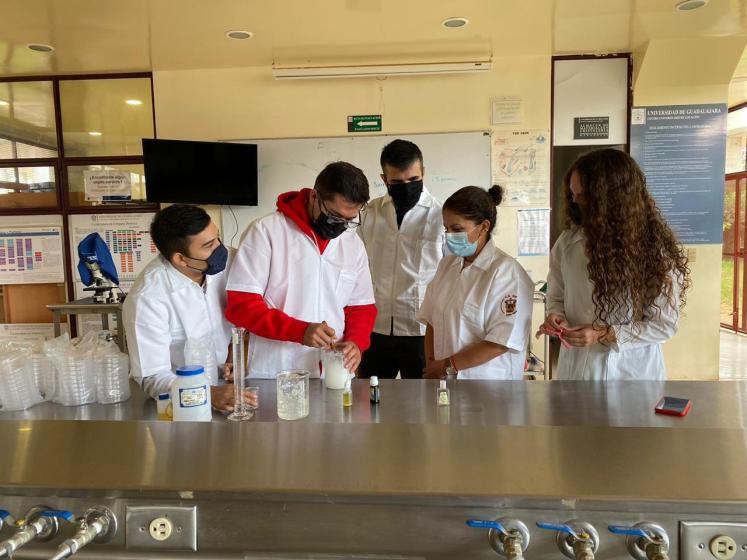 Comunidad universitaria