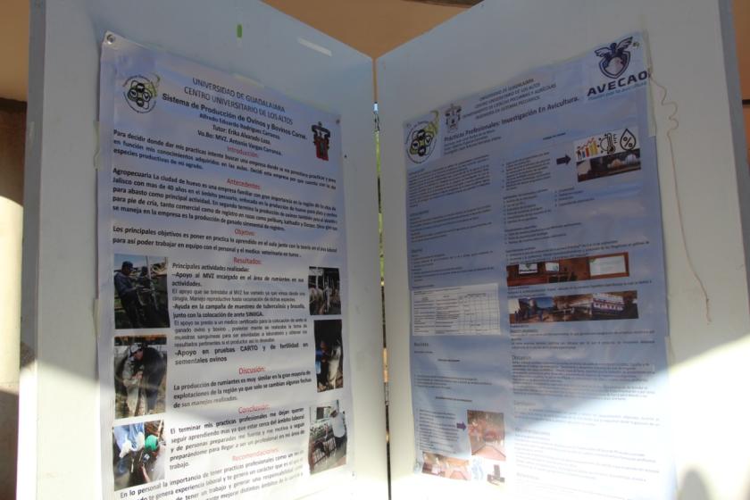 Plano de un par de carteles pegados en un cancel. 