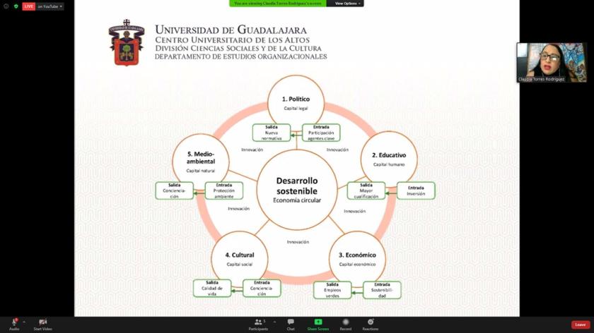 Captura de pantalla en la que se ve un ordenador gráfico, de título "Desarrollo sostenible".