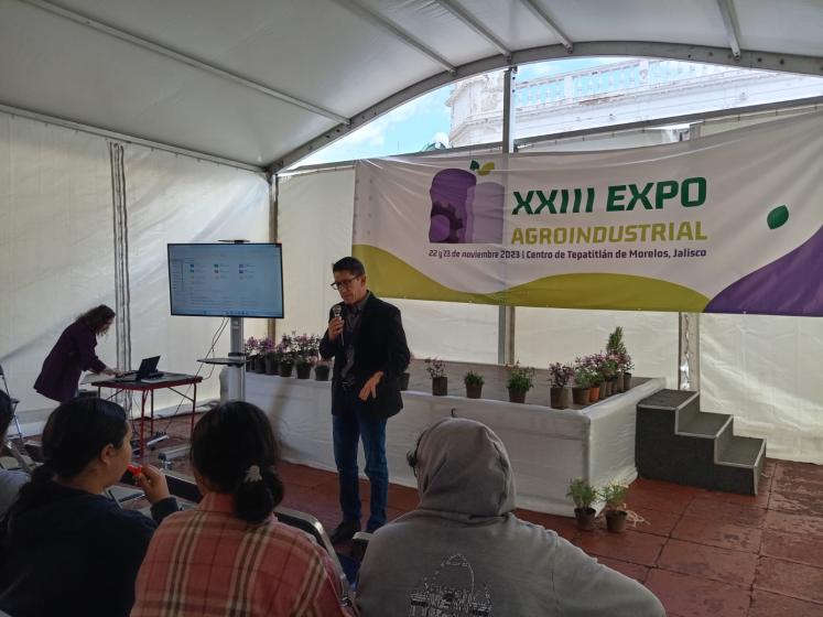 Presentación 