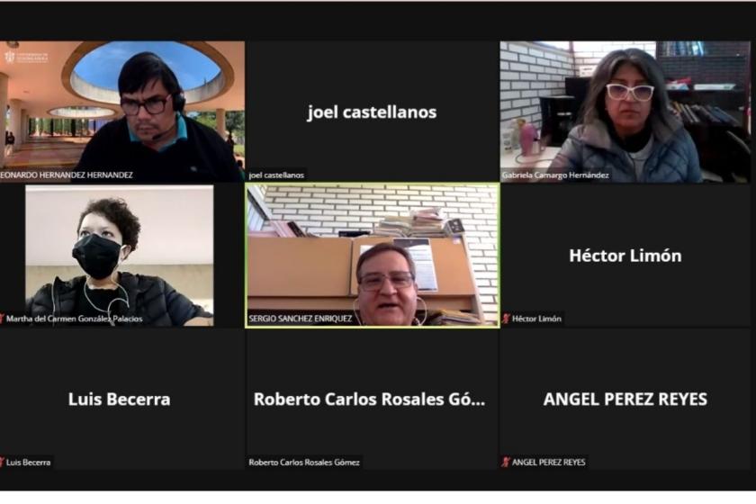 Captura de pantalla de una videollamada.