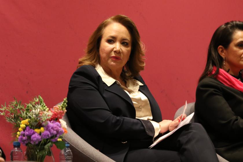Integrante del seminario “Jueces, democracia y tribunal constitucional”.