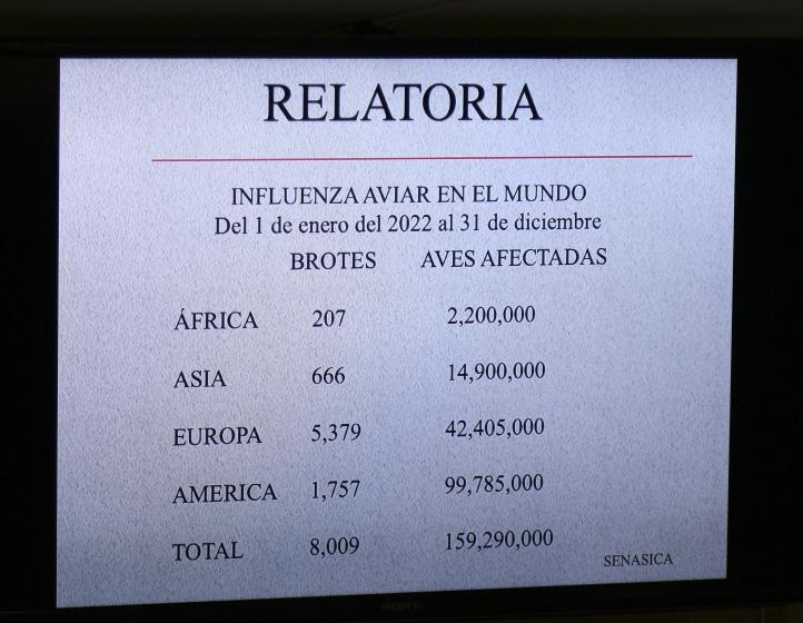 Diapositiva en la que se lee: "RELATORIA" "INFLUENZA AVIAR EN EL MUNDO Del 1 de enero del 2022 al 31 de diciembre".