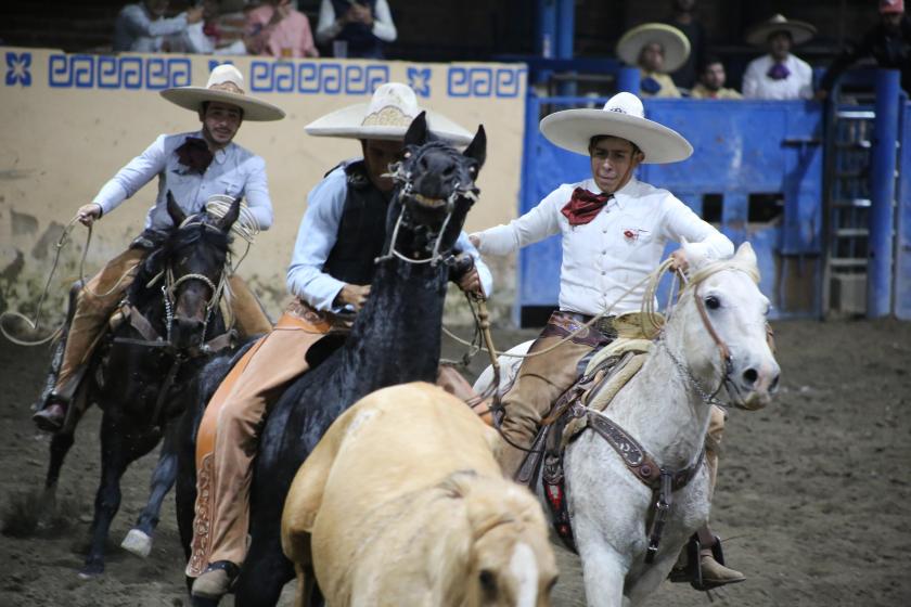 Charros