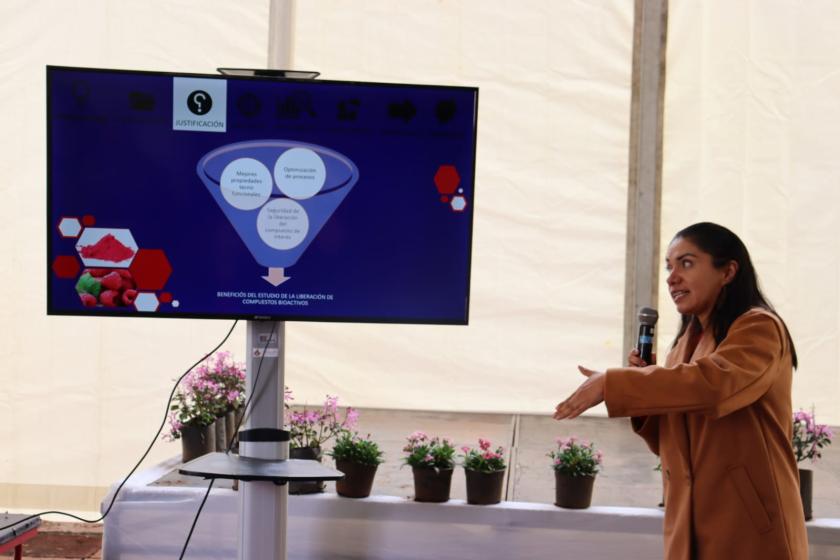 Presentación 