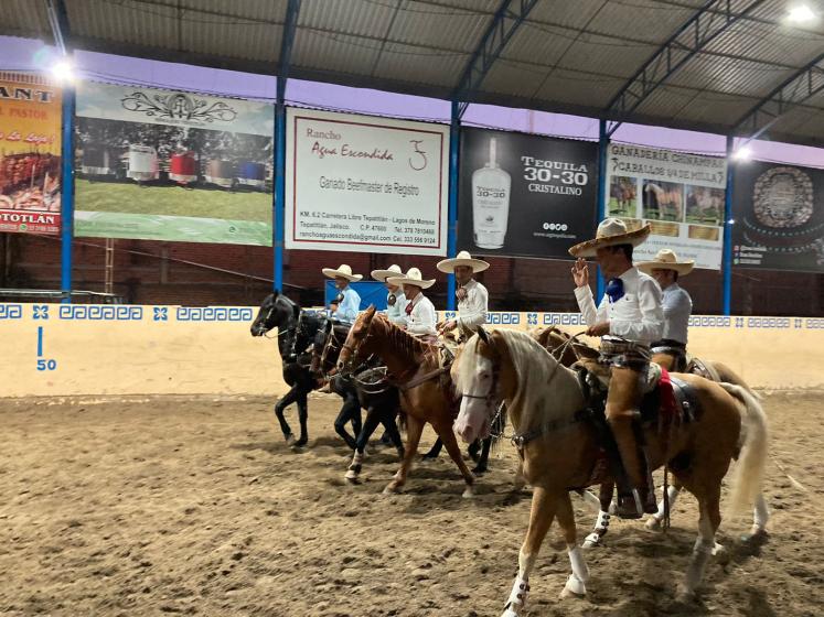 Charros