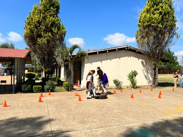Actividades