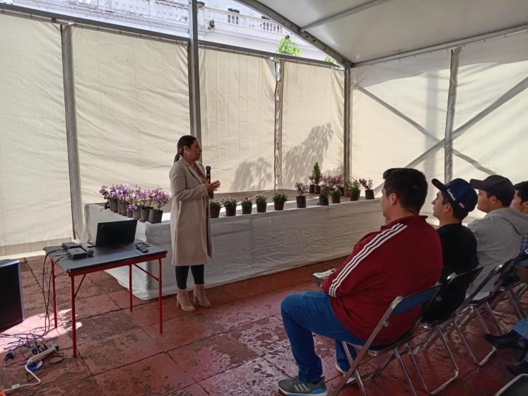 Presentación 