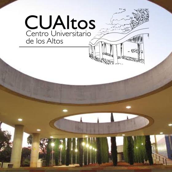 Infraestrunctura CUAltos.