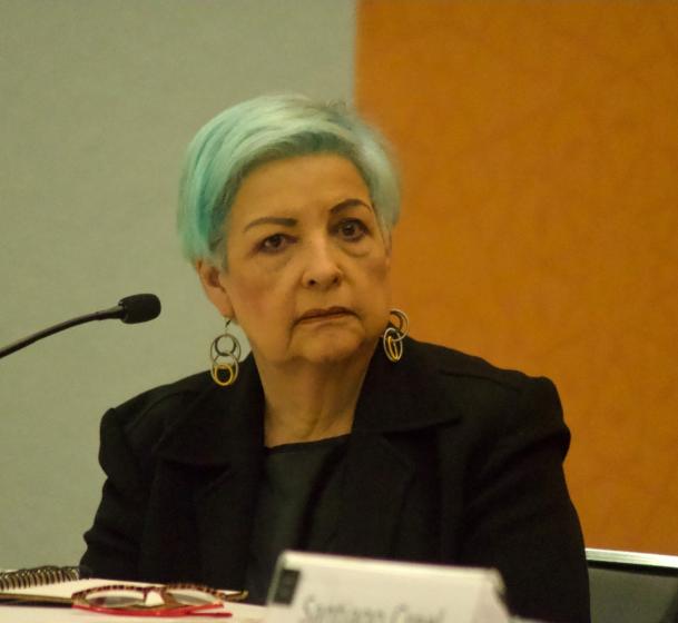 Tere Vale, integrante del Foro sobre la Reforma electoral.