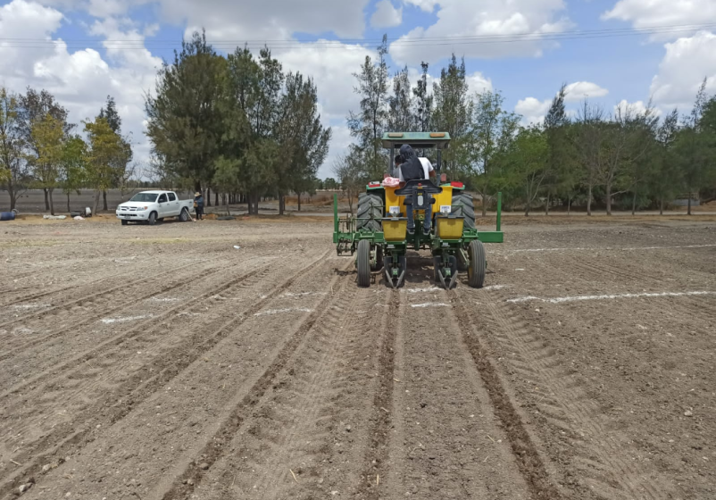 Trabajadores preparando campo de platación.