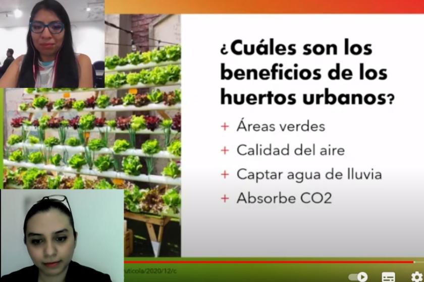 Captura de pantalla de una videollamada en la que se lee "¿Cuáles son los beneficios de los huertos urbanos".