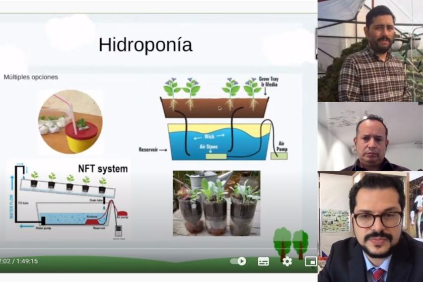 Captura de pantalla de una videollamada en la que se lee "Hidroponía".
