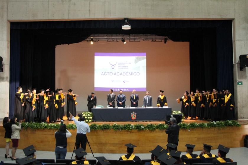 Graduados 