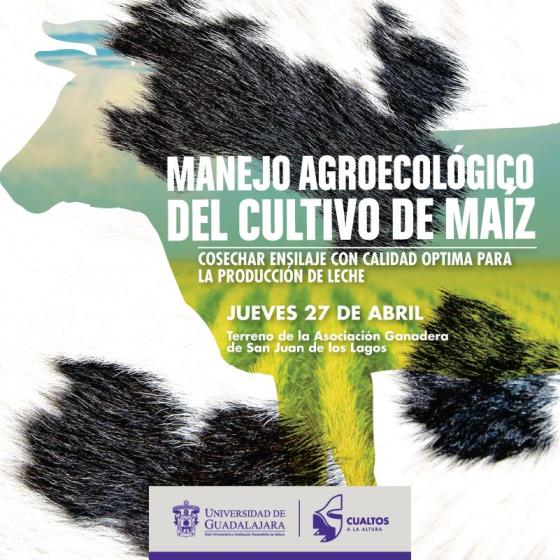Cartel 