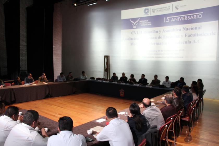 Directores y profesores