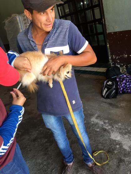 Persona sosteniendo a un perro.