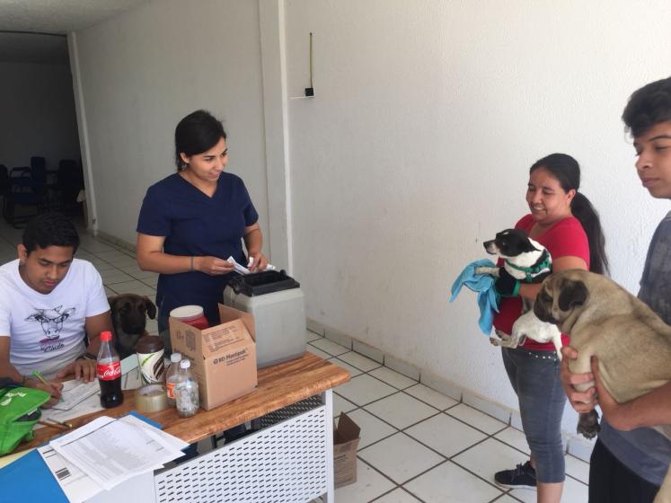 Personas con sus perros haciendo fila.