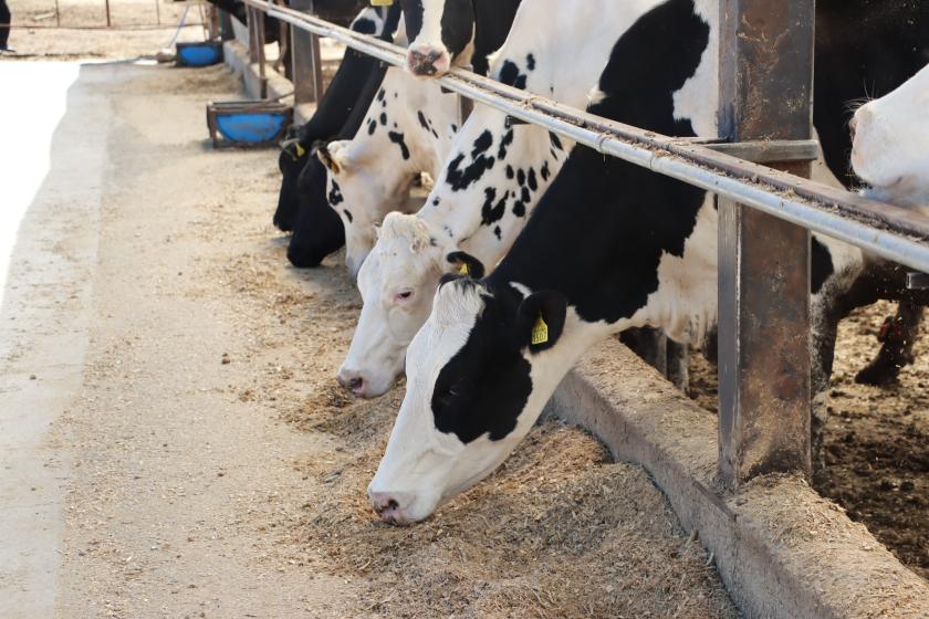 Escuela nacional de lechería sustentable