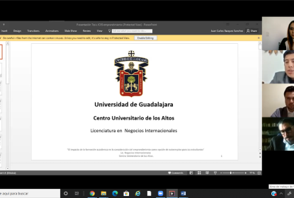 Captura de pantalla de una reunión vía zoom