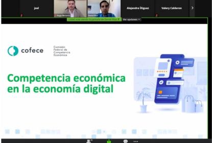 Captura de una videollamada en la que se lee "Competencia económica en la economía digital".