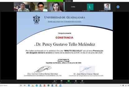 Captura de pantalla de una reunión vía zoom