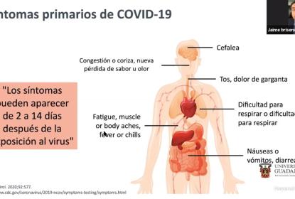 Captura de pantalla de una videollamada en la que se lee "Síntomas primarios de COVID-19".
