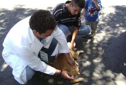 Vacunación de un perrito.