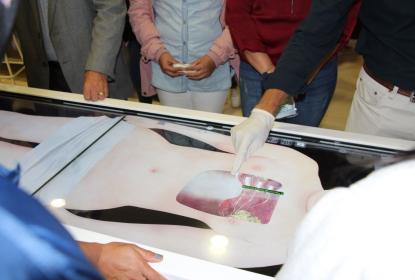 Demostración de uso de la tableta de disección virtual Anatomage.