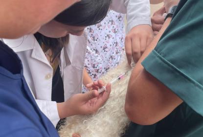 Perrito
