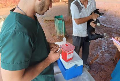 Más de 10,000 animales vacunados en la campaña antirrábica 2024